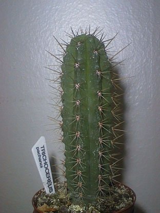 Billedet fylder 28 kb